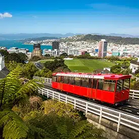 nz coastas trolley