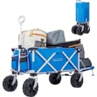 Beach Wagon 
