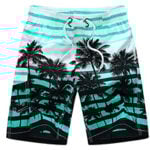 beach short