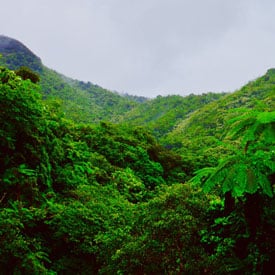 What’s the best time of year to go to Puerto Rico?