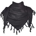 Pashmina Shawl
