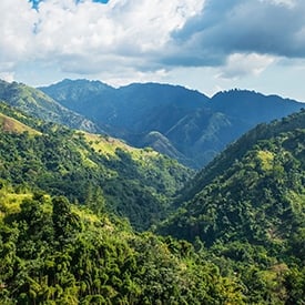 jamaica mountains