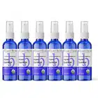 Travel-size Sprayable Hand Sanitizer