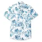 attern-Button-Down-que