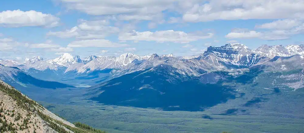 Colorado rockies