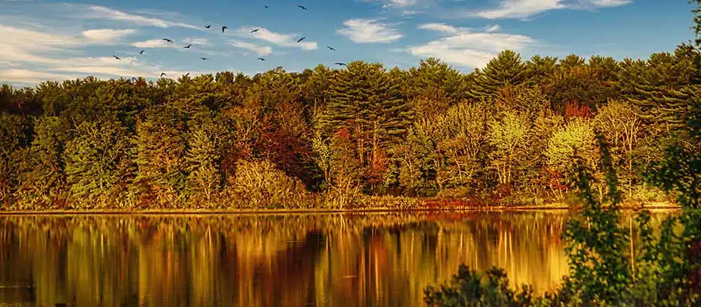 Fall landscape