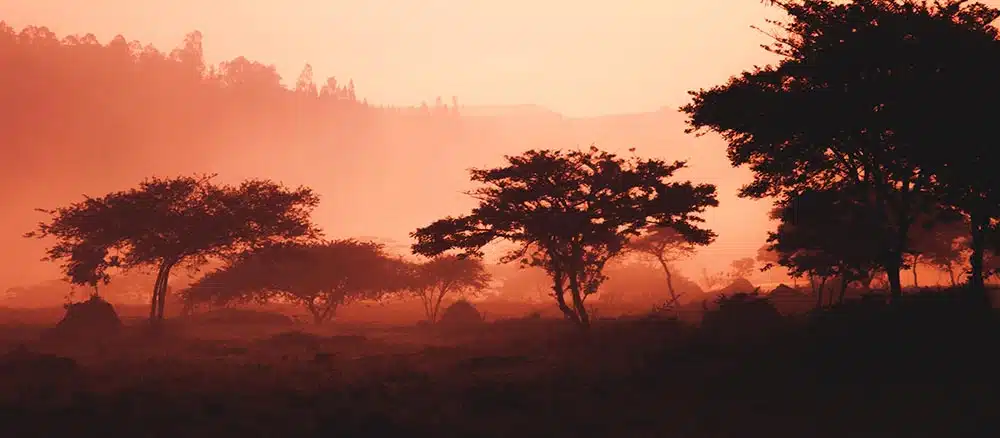 Landscape
