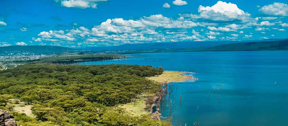 Kenyan landscape