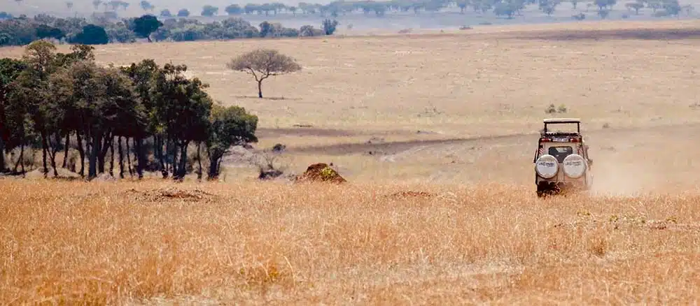 Jeep-driving through plains of Tanzania