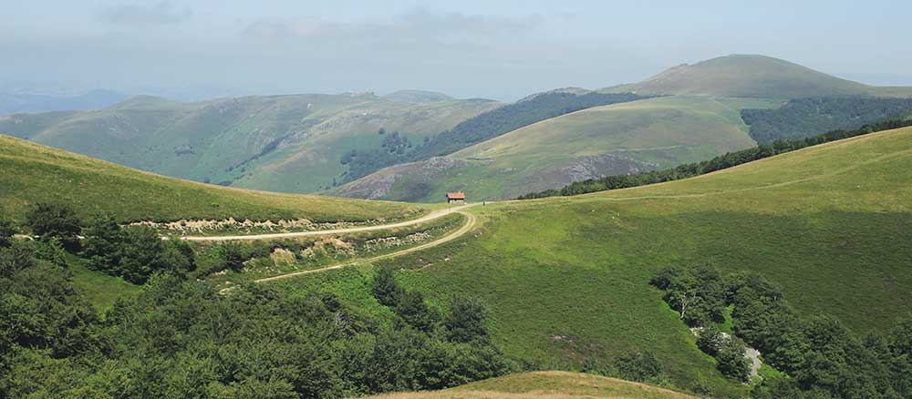Camino de Santiago landscape