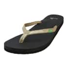 Flip-Flops