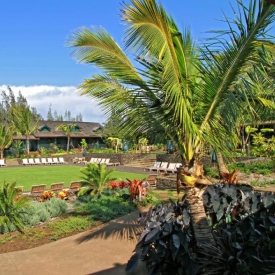 Lumeria, Maui