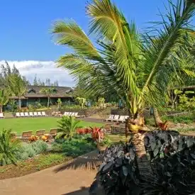 Lumeria, Maui