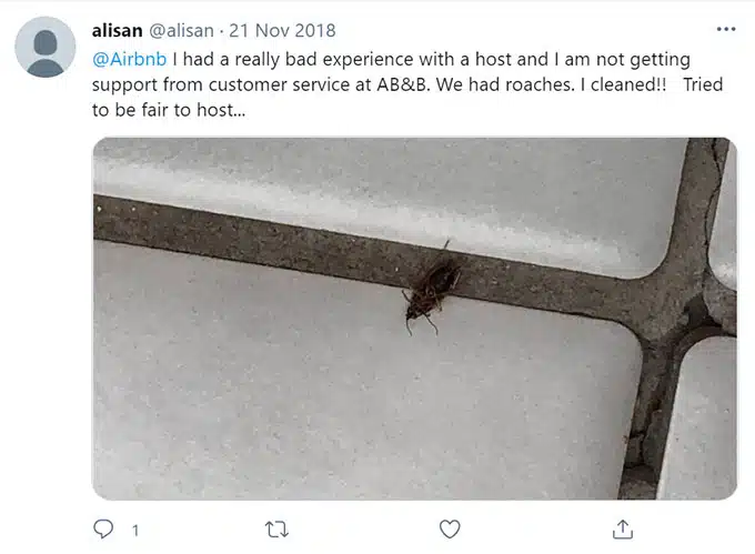 Airbnb Bugs, Bug Bites