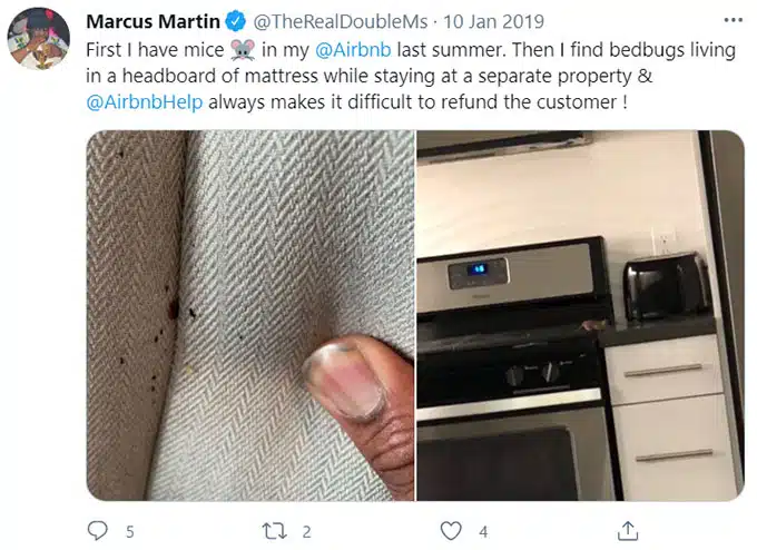 Airbnb Rats, Rodents