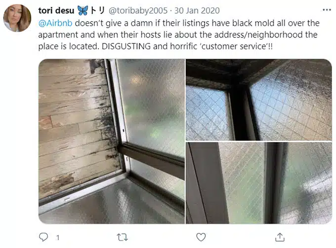 Airbnb Unsanitary Condition Mold Mildew Green Pool