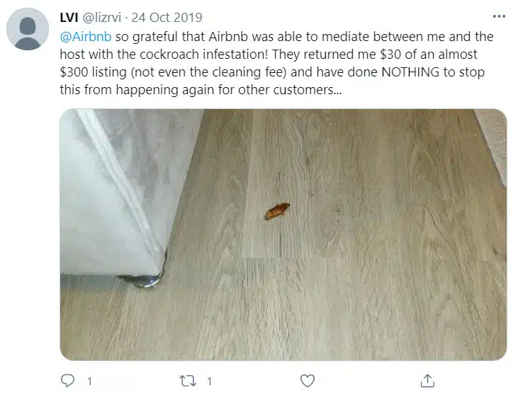Airbnb Bugs, Bug Bites