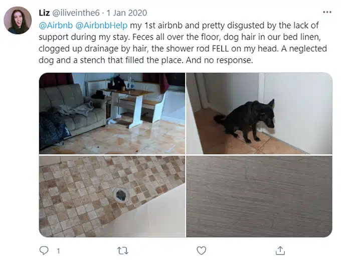 Airbnb Feces-related