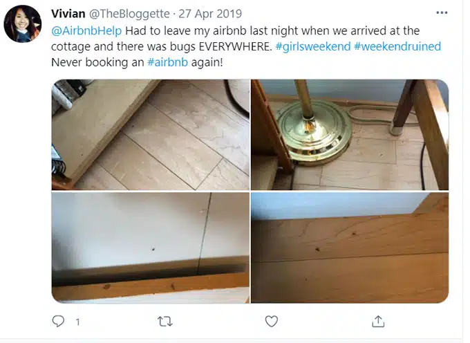 Airbnb Bugs, Bug Bites