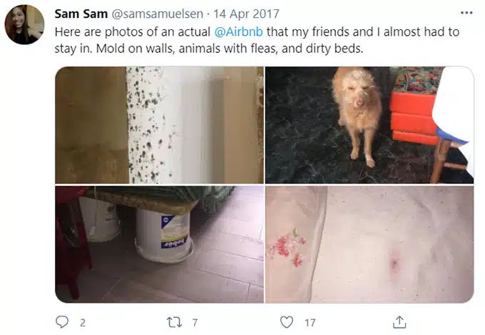 Airbnb Unsanitary Condition Mold Mildew Green Pool