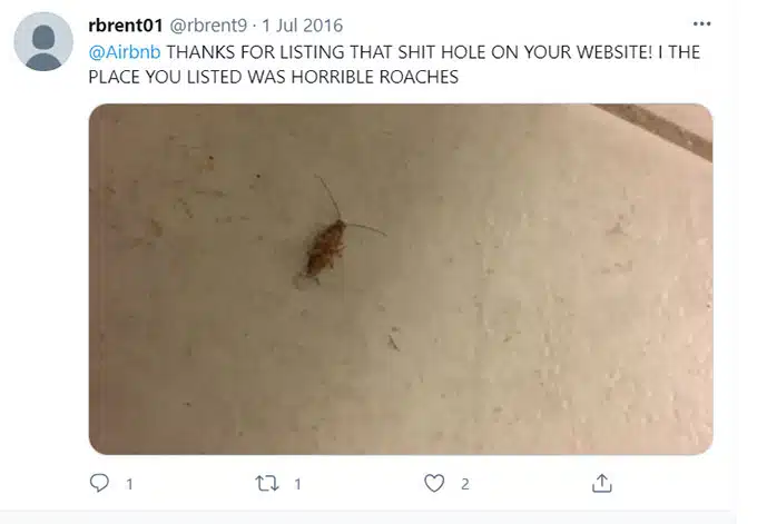 Airbnb Bugs, Bug Bites