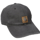 Meshback Cap