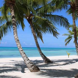 - June, July, August, September, October, November, December