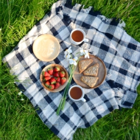 What are the best kinds of drinks to bring to a picnic?