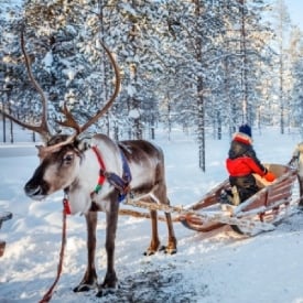 When is the best time to travel to Finland?