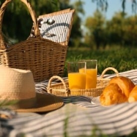 Where are the best places to go on a picnic?