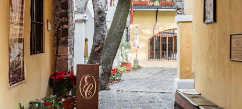 Where to Stay in Mexico City with Family & Kids