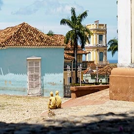 27 Top Trinidad Packing List Items for 2026 + What to Wear & NOT to Bring