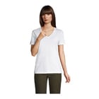 Cotton-V-Neck-w-toronto Cotton V Neck