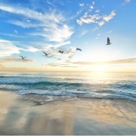 Is the beach safe?