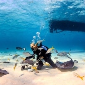 What excursions are worth it? 