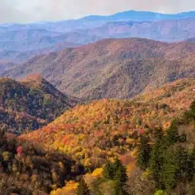 What is the best national park?