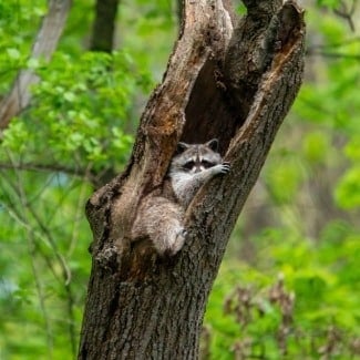What is there to do at Indiana Dunes? 