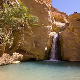 What are the top things to do in Tunisia?