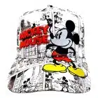 Disney Hat
