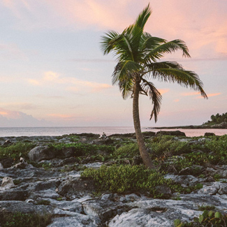 Where are the best places to stay in Riviera Maya?