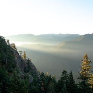 Should I prepare for bears in Olympic National Park?