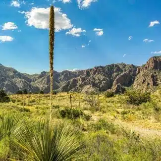 What are the best hiking trails in Big Bend