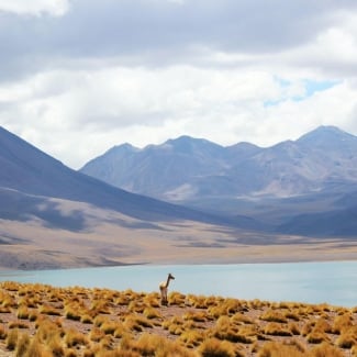  What is the culture like in Chile?