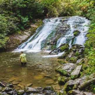 What timezone is Great Smoky Mountains National Park in?