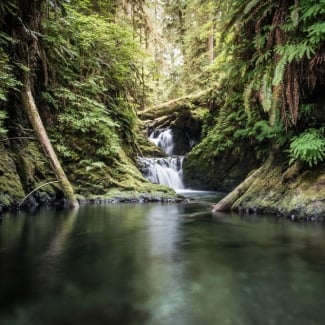 What’s the landscape like in Olympic NP?