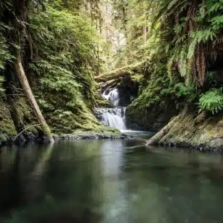 What’s the landscape like in Olympic NP?