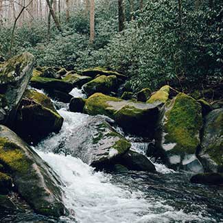  – September, October, November