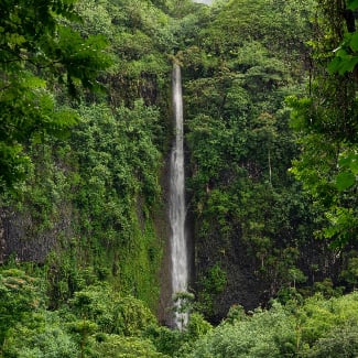 What are Some Good Hikes?