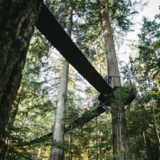 What is there to do in Vancouver, B.C?