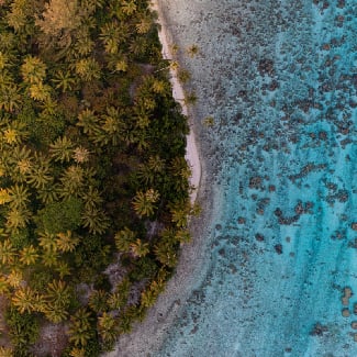 — November, December, January, February, March